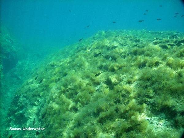 samos island greece waters